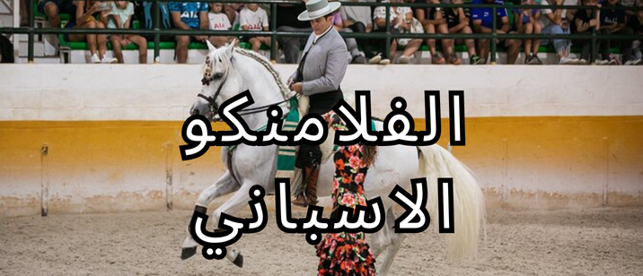 سفريات اسامة Osama travel (47)