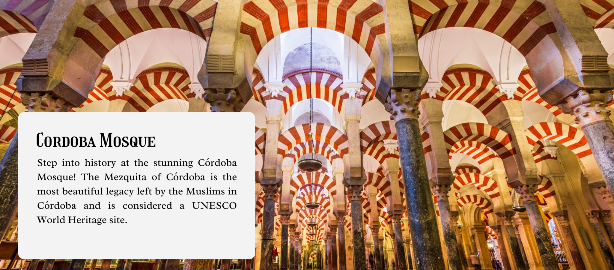 سفريات اسامة Osama travel (18) copy 2