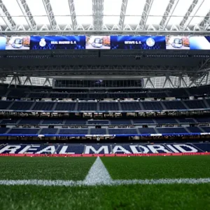 01jg456kfdgjqvfn6tcn