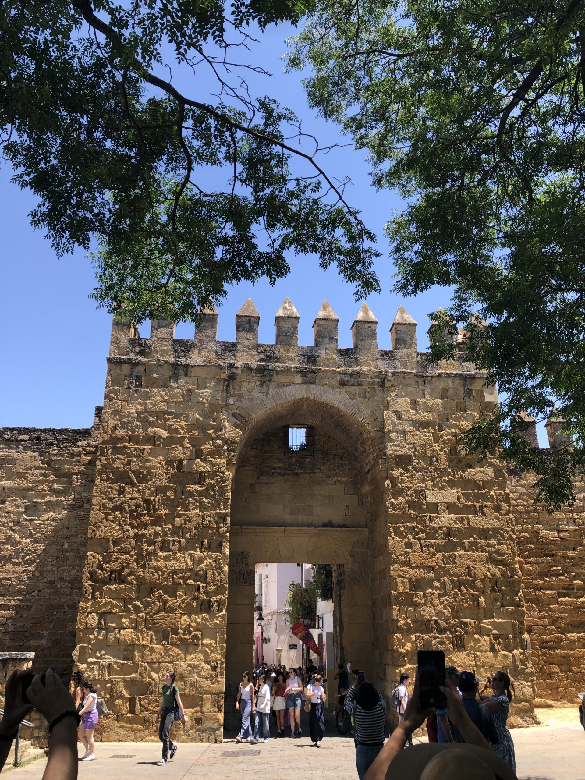 Andalusia 2 - Image 34