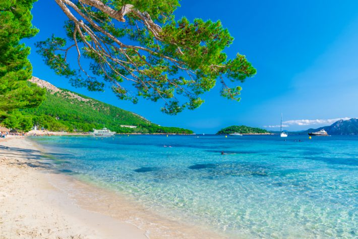 shutterstock_771066976-710x474