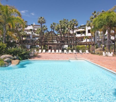 PANR-11921 Kokio (Bea)_page-0006