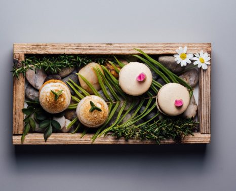 sollo-restaurant-1343146